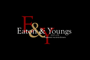 Eaton and Youngs